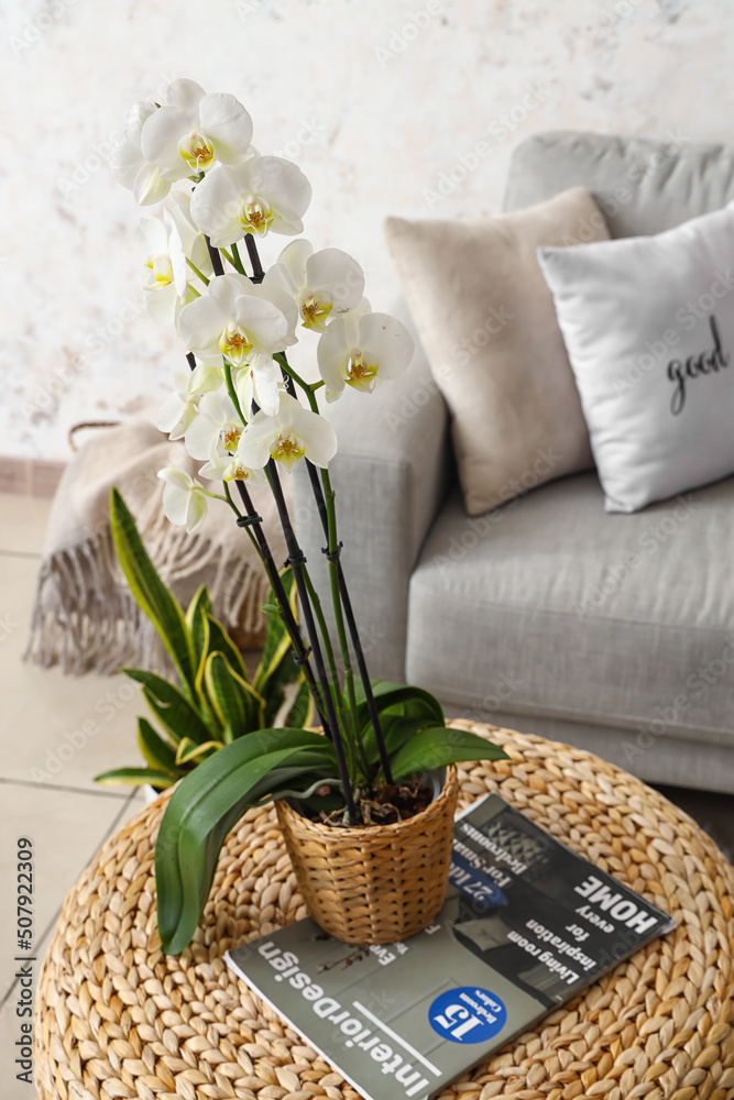 客厅柳条桌上漂亮的兰花花和杂志