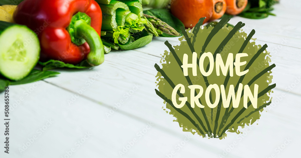木板上新鲜有机蔬菜上的绿色自家种植的文字图像
