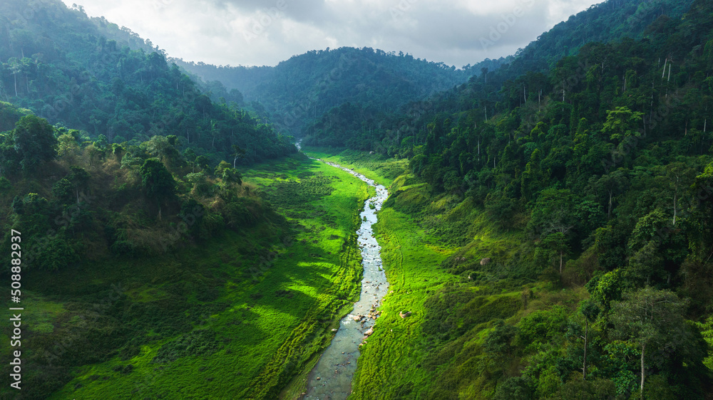 野生森林山上美丽的天然溪流和绿色的草地鸟瞰图