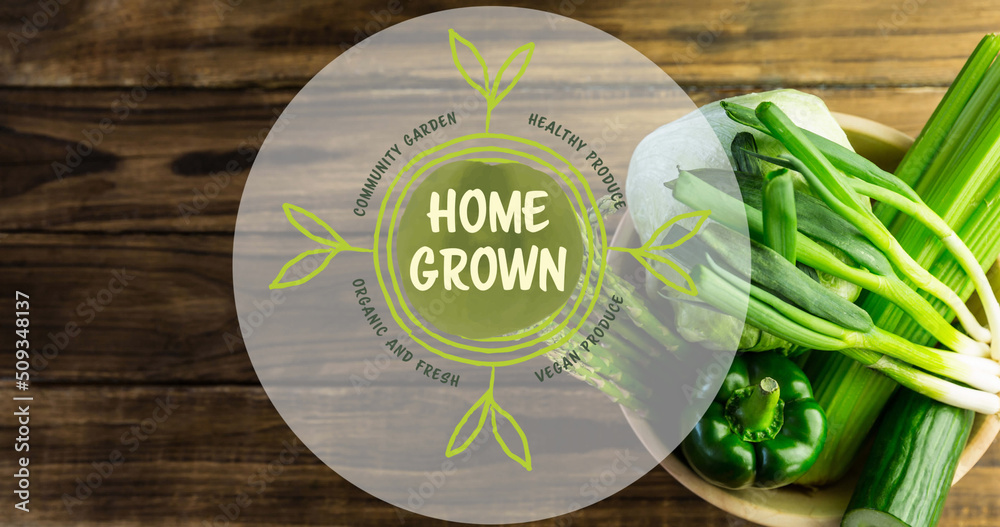 木板上一碗新鲜蔬菜上的绿色纯素食农产品文本图片