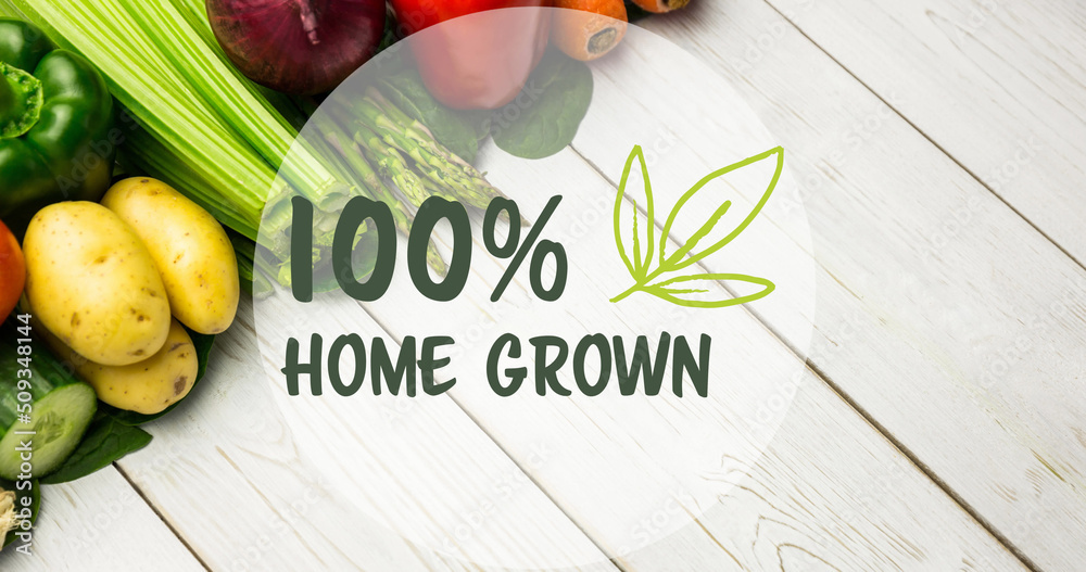 白色木板上新鲜蔬菜上的绿色自家种植的文字图像