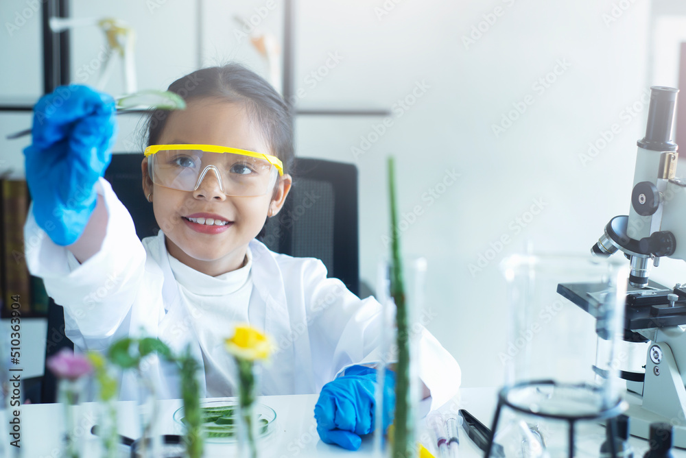 亚洲小女生拿着放大镜学习科研科学课