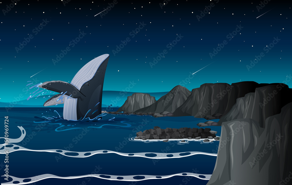 夜间海洋中的座头鲸