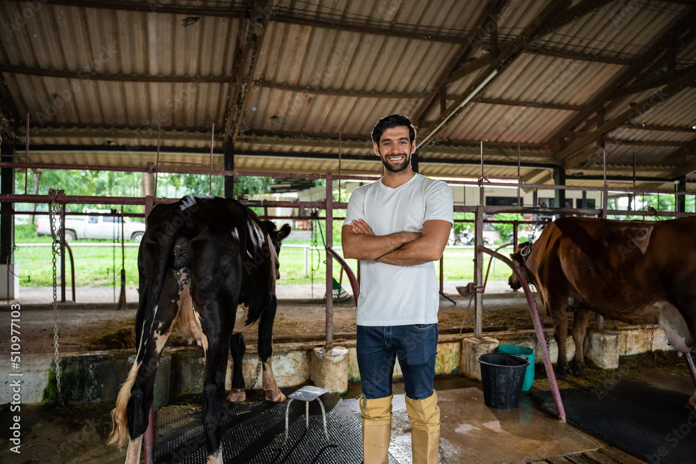 高加索奶农的画像，一个男人独自站在奶牛场的户外