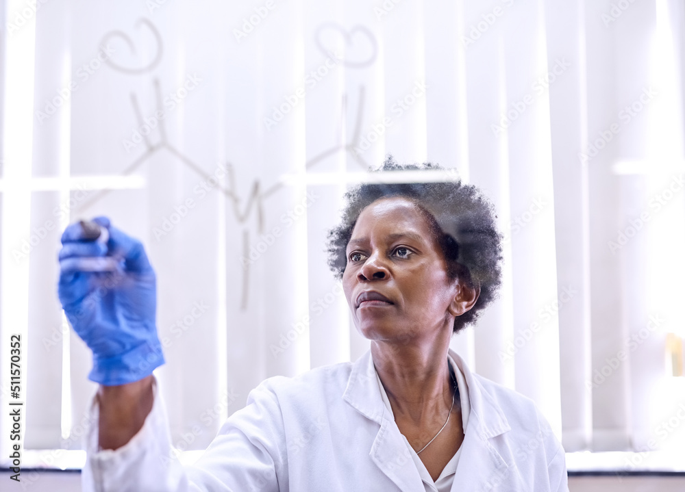 弄清楚了一切。一位女科学家在洛杉矶的玻璃墙上绘制分子结构的照片