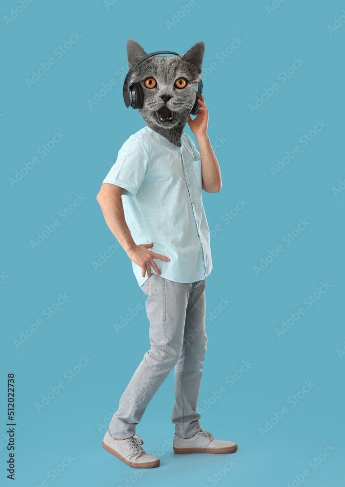 有趣的灰色猫，有人在蓝色背景下听音乐