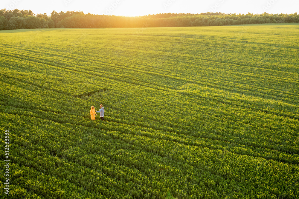 Aerial view on green wheat field with couple walking on pathway on sunset. People enjoy nature on fa