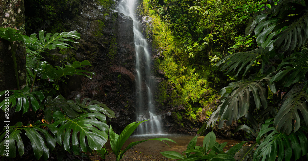 雨林中的瀑布