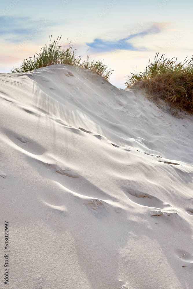 丹麦洛肯日德兰半岛西海岸沙丘景观。地表脚印特写