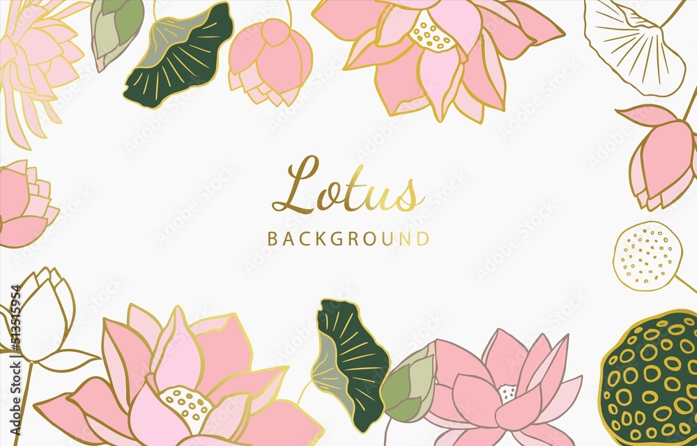 Golden pink lotus background. Line art design for postcard, invitation ,presentation