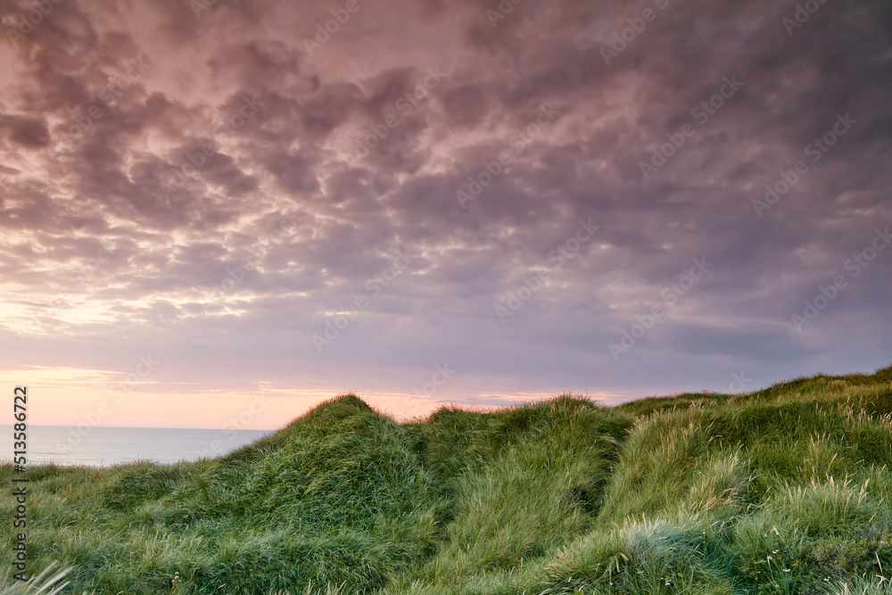 Sunset over a landscape with clouds, copy space and lush green grass growing on empty beach sand dun