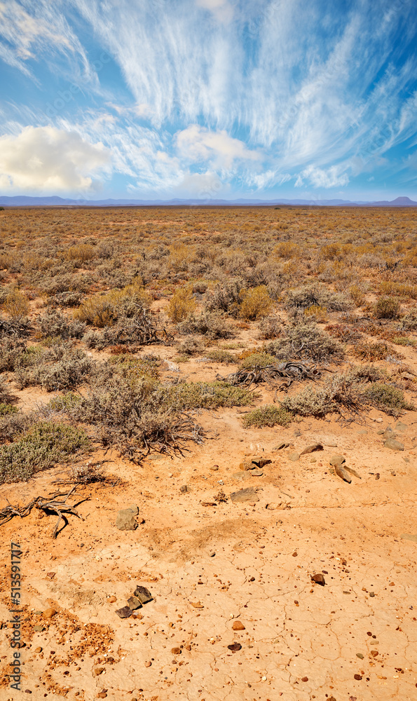 南非农村萨凡纳沙漠干旱贫瘠的高地景观，带有复制空间。干燥，e
