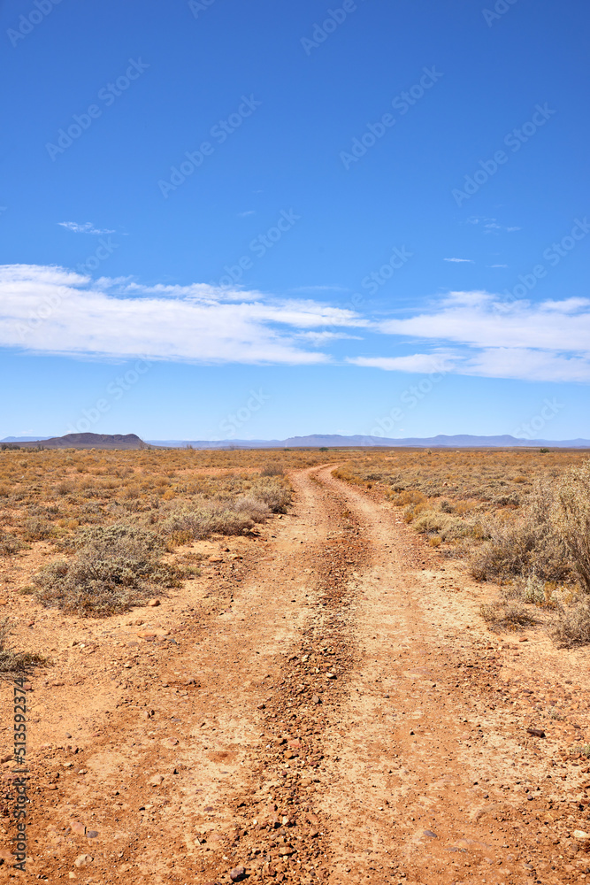 Landscape of arid, barren highland in Savanna Desert in rural South Africa with copyspace. Dry, empt