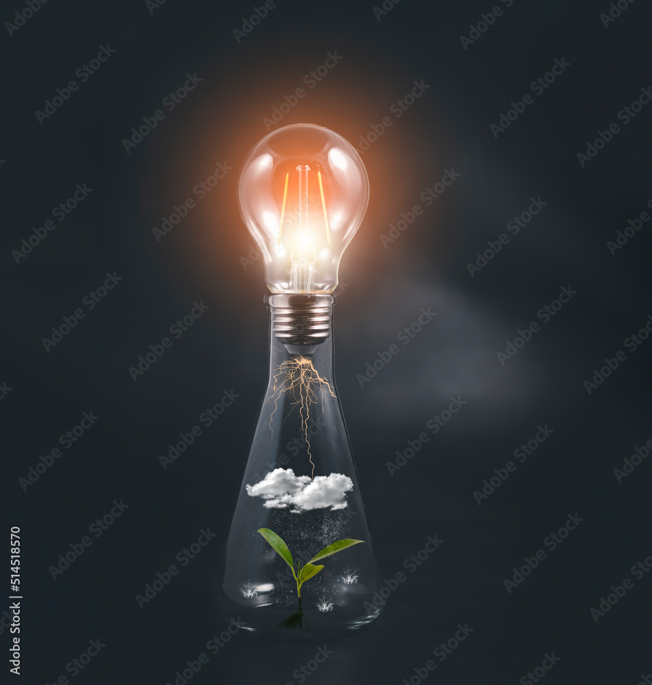 概念电力能源和自然，以植物为灯丝的白炽灯泡，灯泡
1900583609,夜闪光灯大城市运动模糊背景