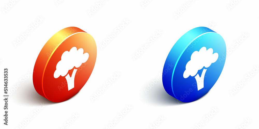 Isometric Broccoli icon isolated on white background. Orange and blue circle button. Vector