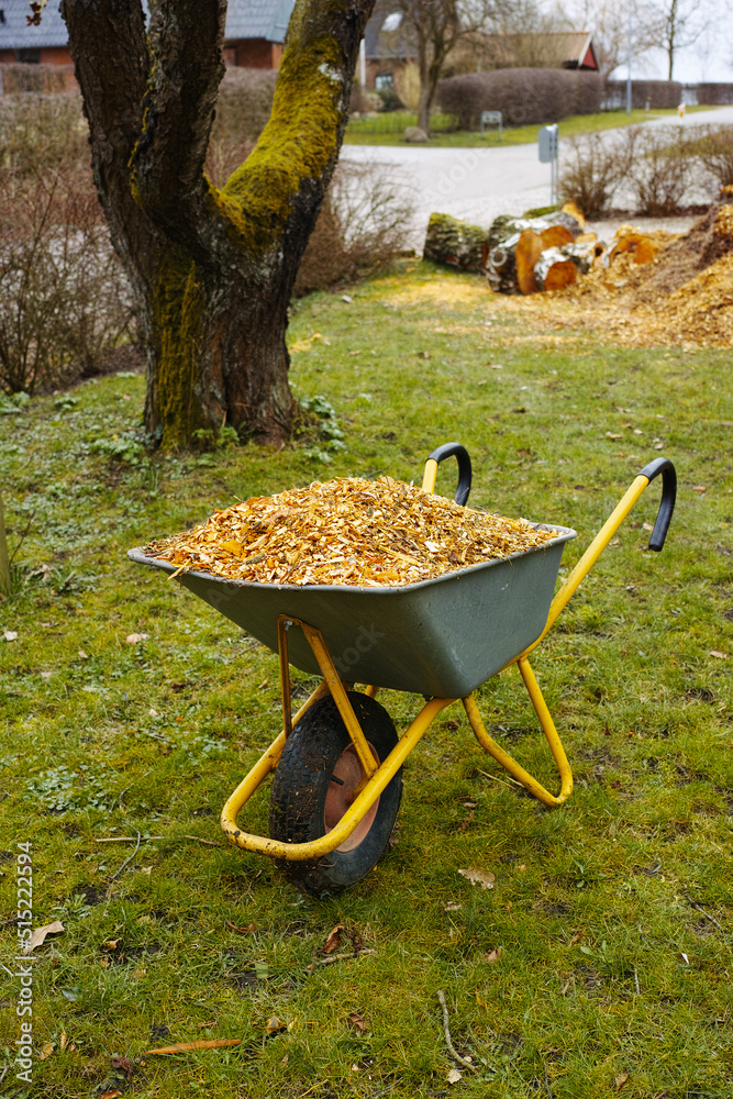 花园背景中装满木屑的独轮车。在郁郁葱葱的土地上用作堆肥的牛奶或树皮