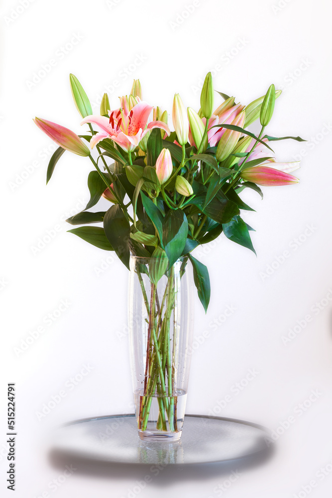 白色画室背景上的花瓶里有粉红色的花朵。美丽的百合花苞。