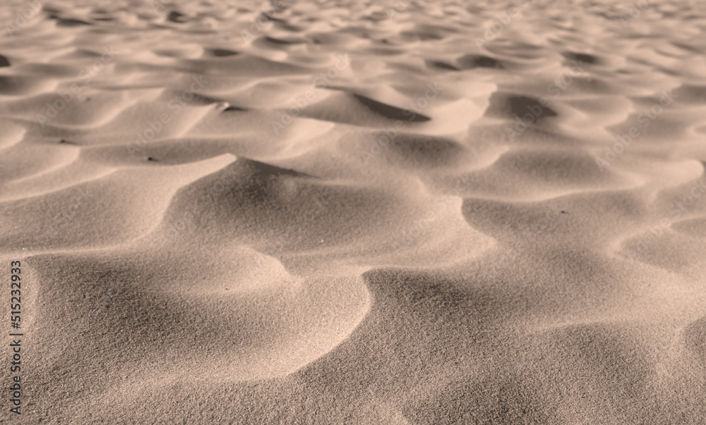 大自然中多风海滩上沙丘上的沙漠沙子颗粒，带有复制空间。风景景观特写