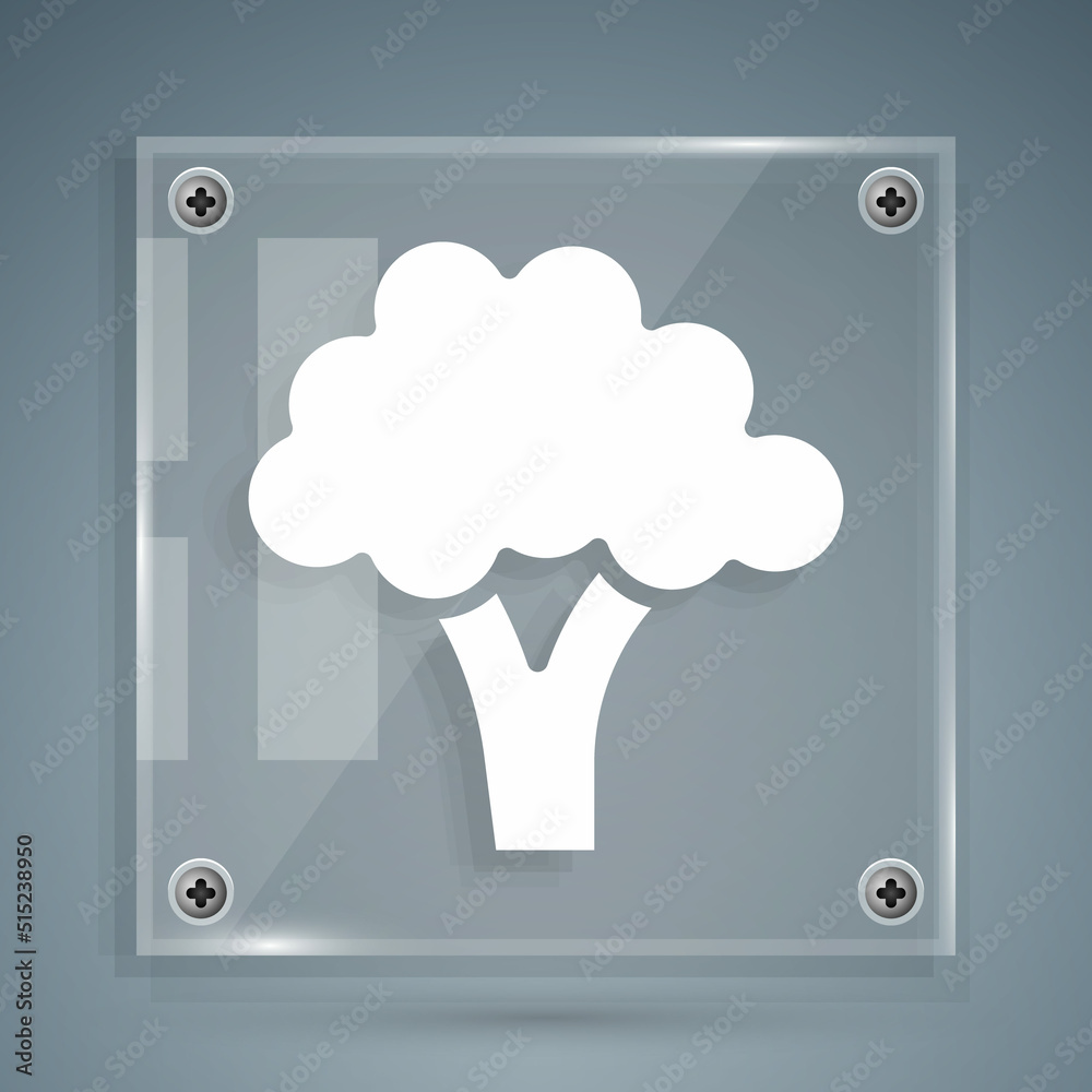 White Broccoli icon isolated on grey background. Square glass panels. Vector