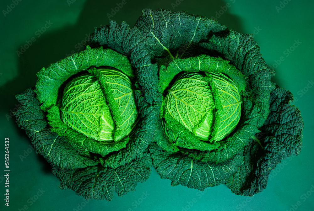 绿色背景下两颗萨伏依卷心菜的顶视图