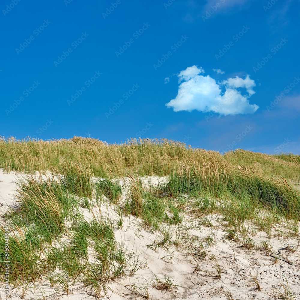 挪威斯塔万格西南海岸蓝天下沙丘的海滩景观复制空间