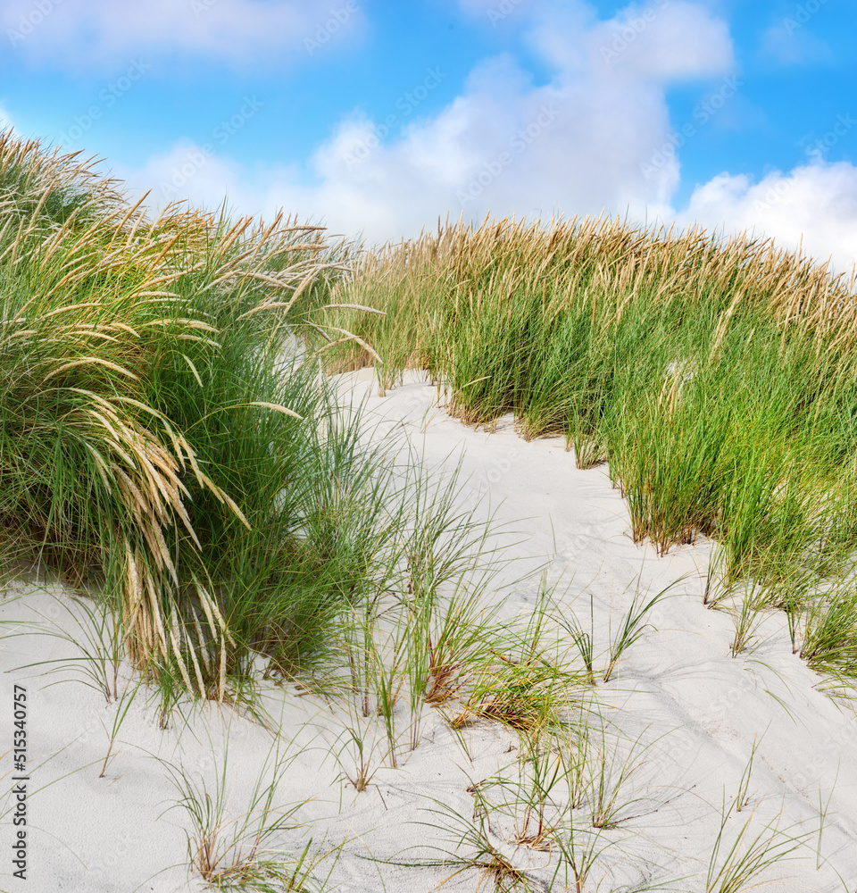 Loekk日德兰半岛西海岸多云蓝天下沙丘的海滩景观复制空间