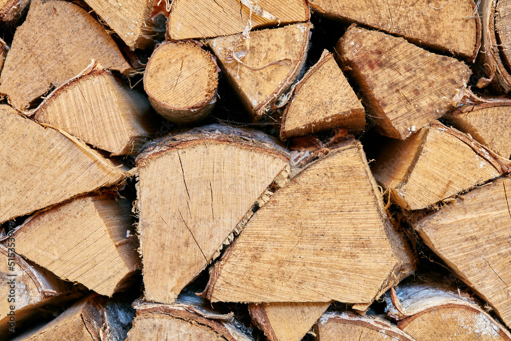 森林维护将促进再生。放大堆放整齐的新切割木材。