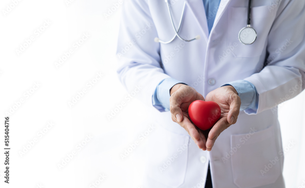 Doctor holding a red heart. Medical help, prophylaxis or insurance concept. Cardiology care, health,
