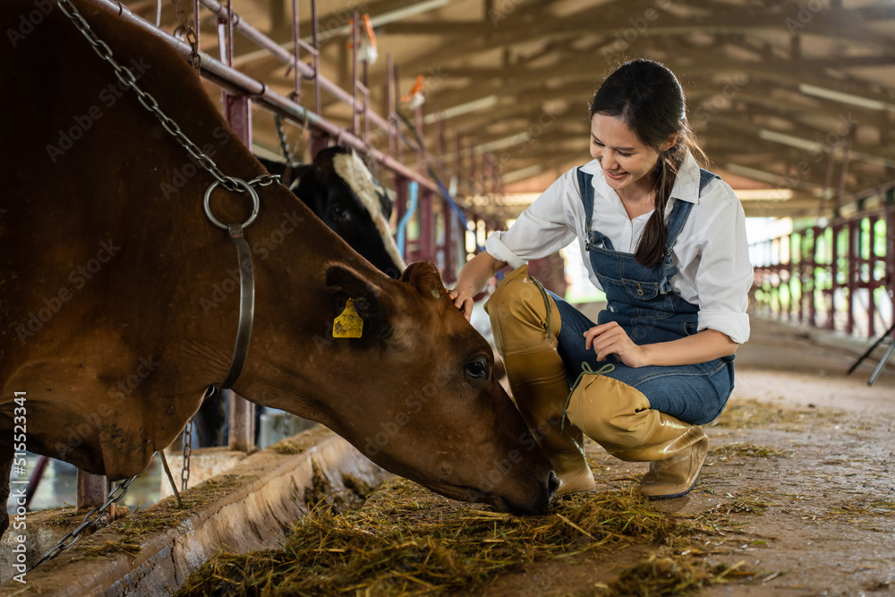 在畜牧场户外工作的亚洲有魅力的奶农妇女