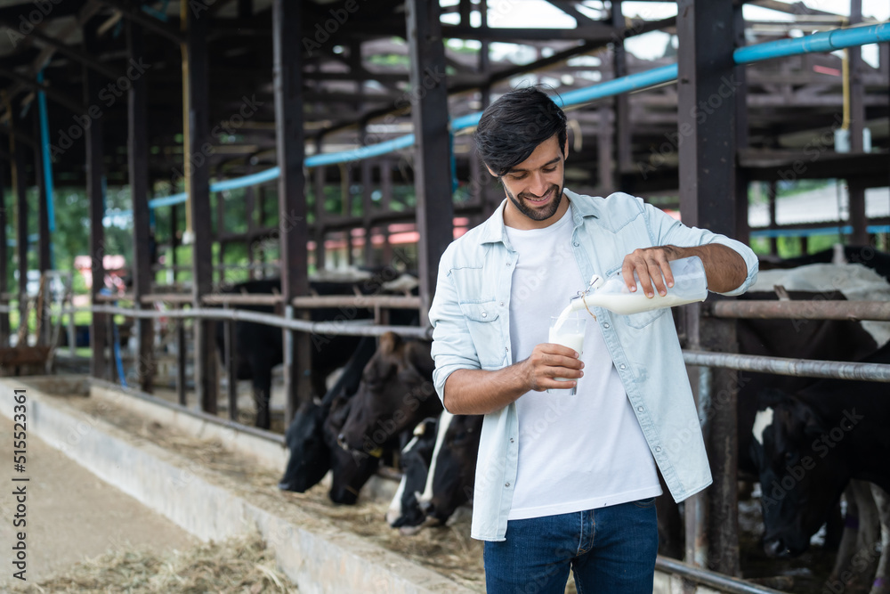 高加索男子奶农在畜牧业牛棚喝牛奶