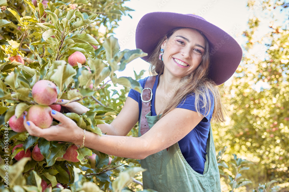 快乐的农民在果园收获季节从树上摘苹果。一个啦啦队的肖像