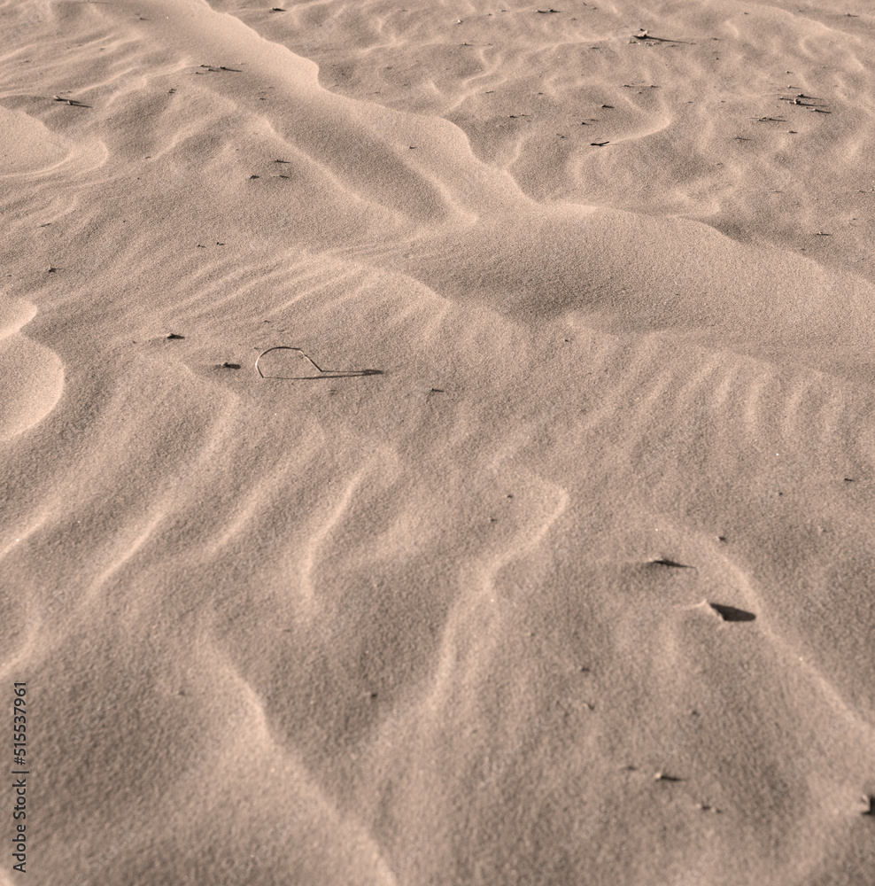 阳光明媚的日子里，大自然海滩岸边的棕色沙丘，有复制空间。沙漠土地特写