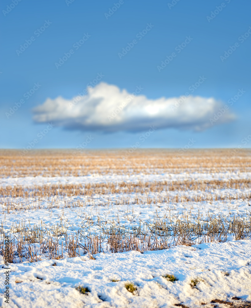 在一个寒冷的冬日，丹麦白雪皑皑，有复制空间。霜冻的田野保存在