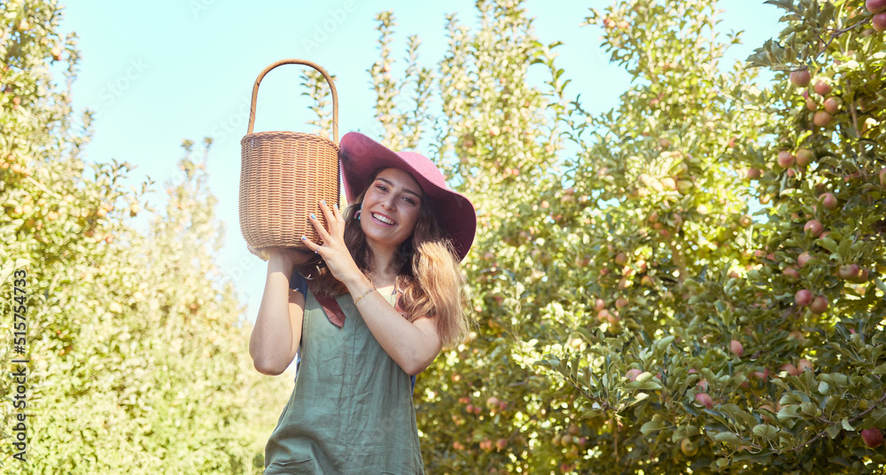 一个快乐的女人拿着篮子，在可持续果园的树上摘新鲜苹果的肖像
