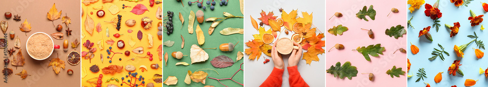 彩色背景上有许多秋叶、咖啡、花朵、橡子和浆果的拼贴画，顶部为vie