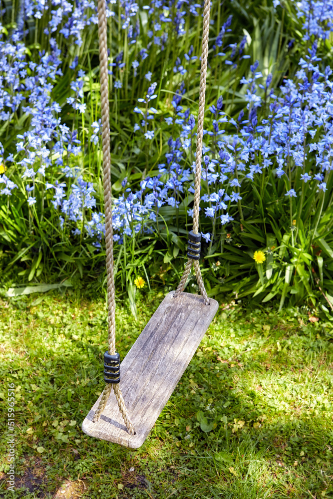 在一个阳光明媚的日子里，一个木制秋千挂在郁郁葱葱的蓝铃花花园里。哈尔宁静的后院