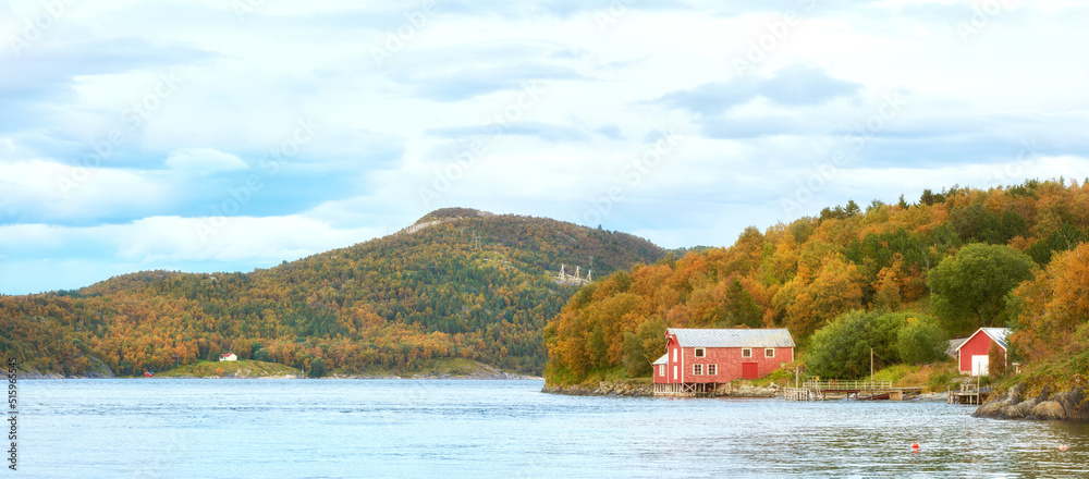 挪威海湾周围一座湖屋的风景，周围有未开垦的树木、灌木和灌木。