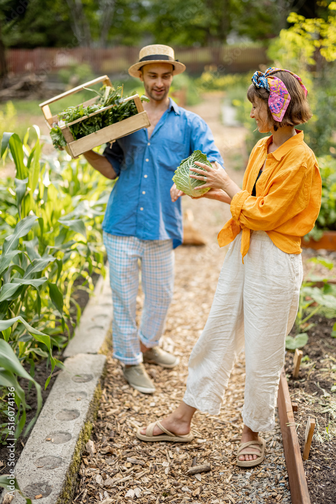 两个年轻的成年农民带着刚摘下的蔬菜走在一起，在当地的农田里收割。