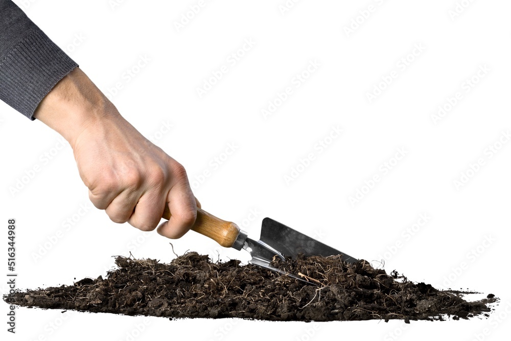 手中的土壤用于检查质量，种子种植前的土壤质量。农业概念。技术