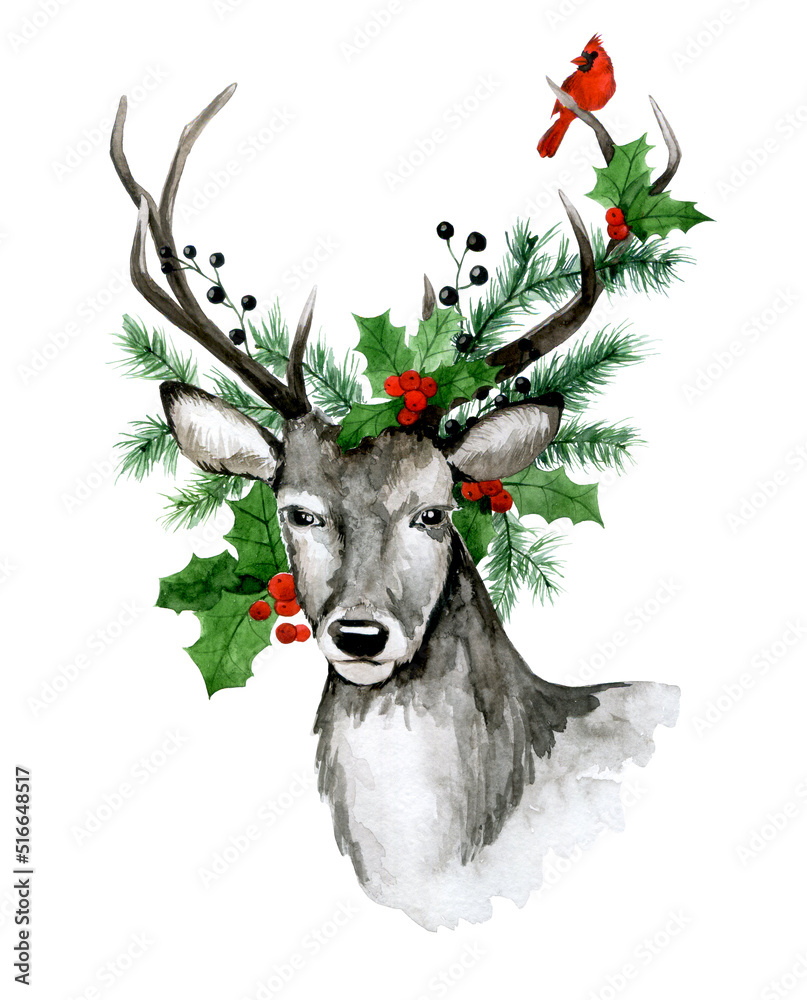 水彩画，圣诞卡。鹿角上有云杉树枝和冬青叶的鹿。bouqu