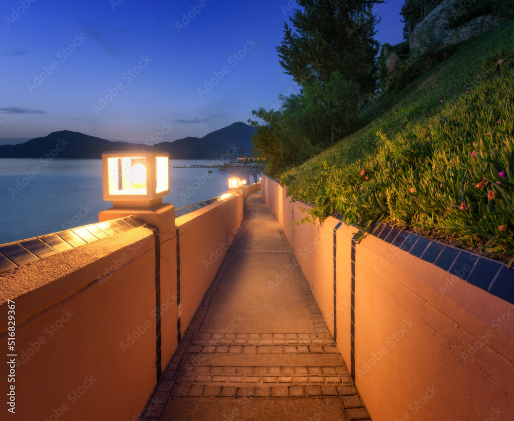 Amazing path with street lights on sea coast at night in summer. Beautiful walkway, lamps, flowers, 