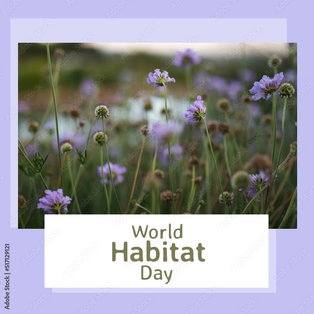 Square image of world habitat day text and field of blue flowers