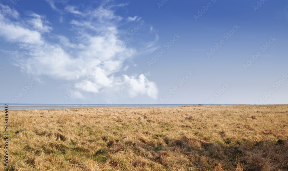 马里亚格尔峡湾附近日德兰半岛卡特加特东海岸海边的干燥开阔地景观