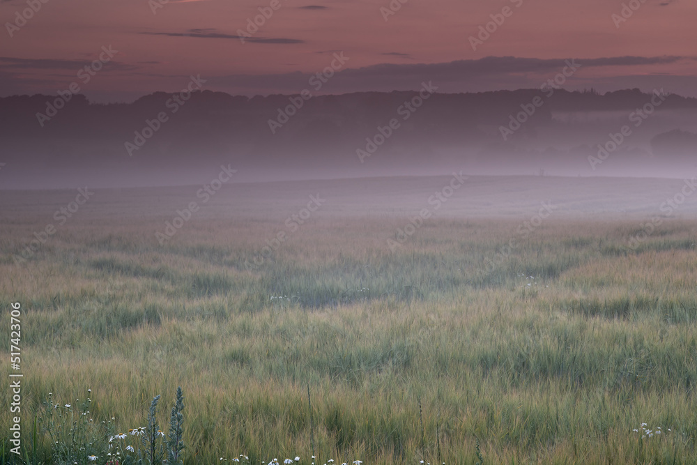 雾在田野上的景观视图，背景是山脉，带有复制空间。薄雾覆盖着
