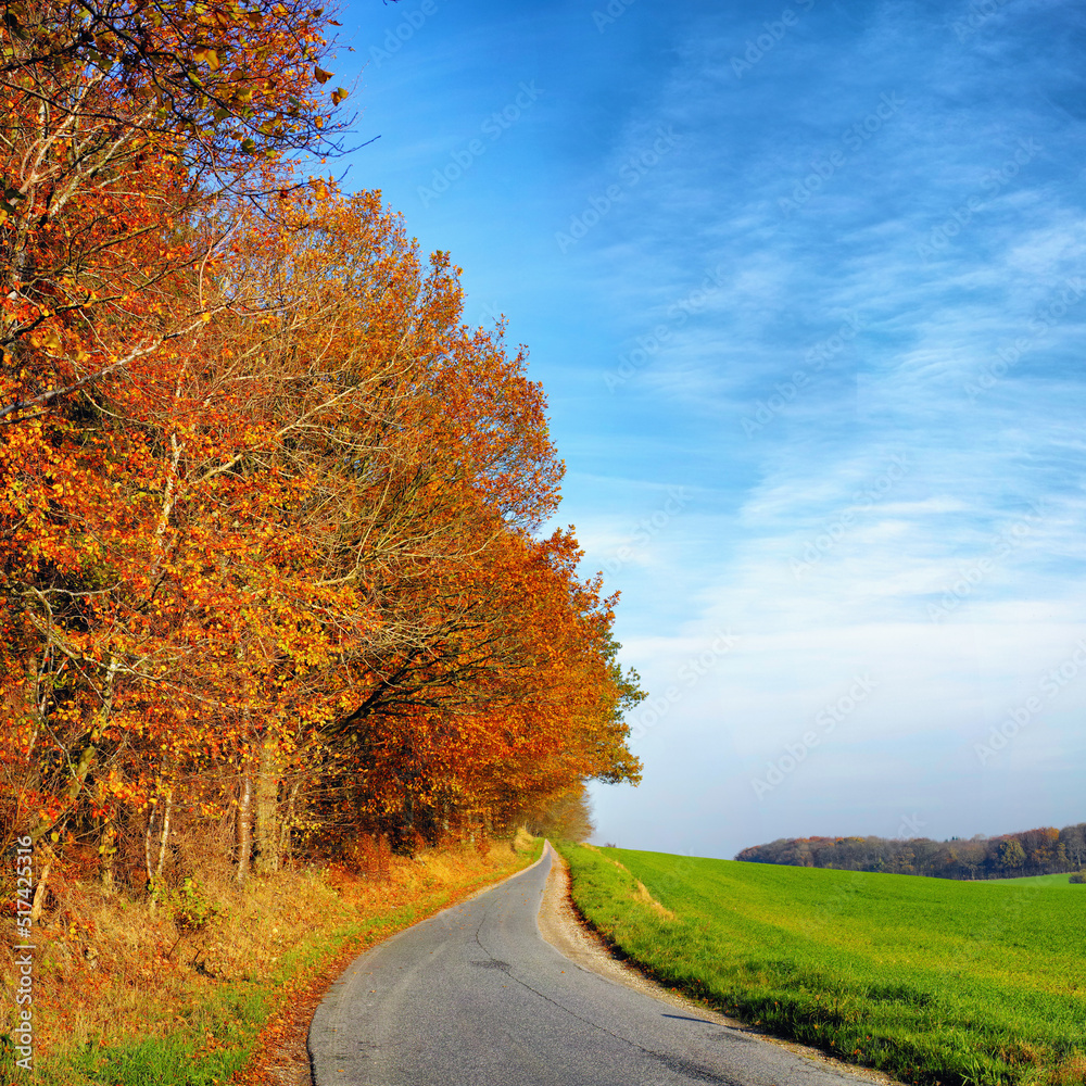 一条空荡荡的路，周围是秋天的树，有蓝天和复制空间。风景只有一个cou