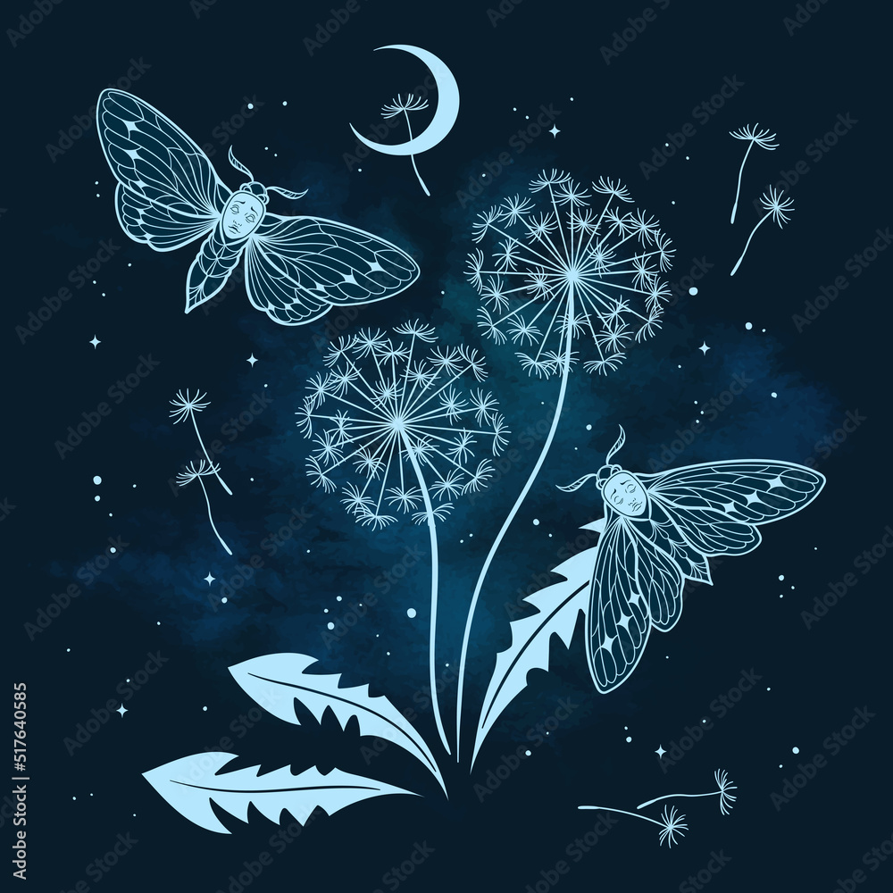 手绘哥特式夜景，图案风格的矢量插图中有飞蛾和蒲公英的剪影