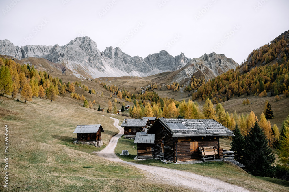 意大利多洛米蒂阿尔卑斯山瓦尔弗雷达山谷令人难以置信的秋景。木屋，黄色的草地，ora