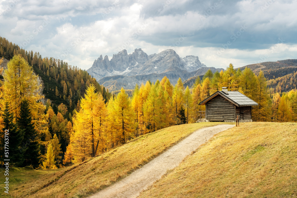 意大利多洛米蒂阿尔卑斯山瓦尔弗雷达山谷令人难以置信的秋景。木屋，黄色草地，奥兰