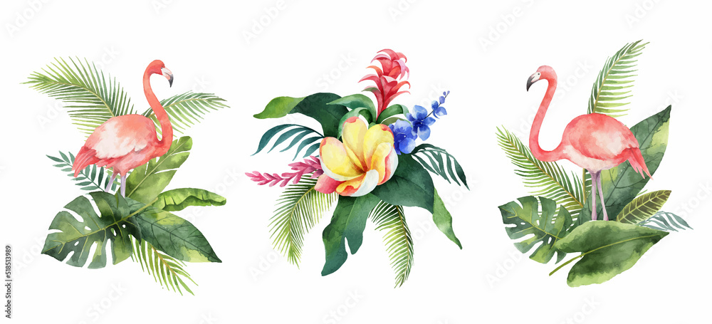 热带树叶、花朵和火烈鸟的水彩矢量套装。