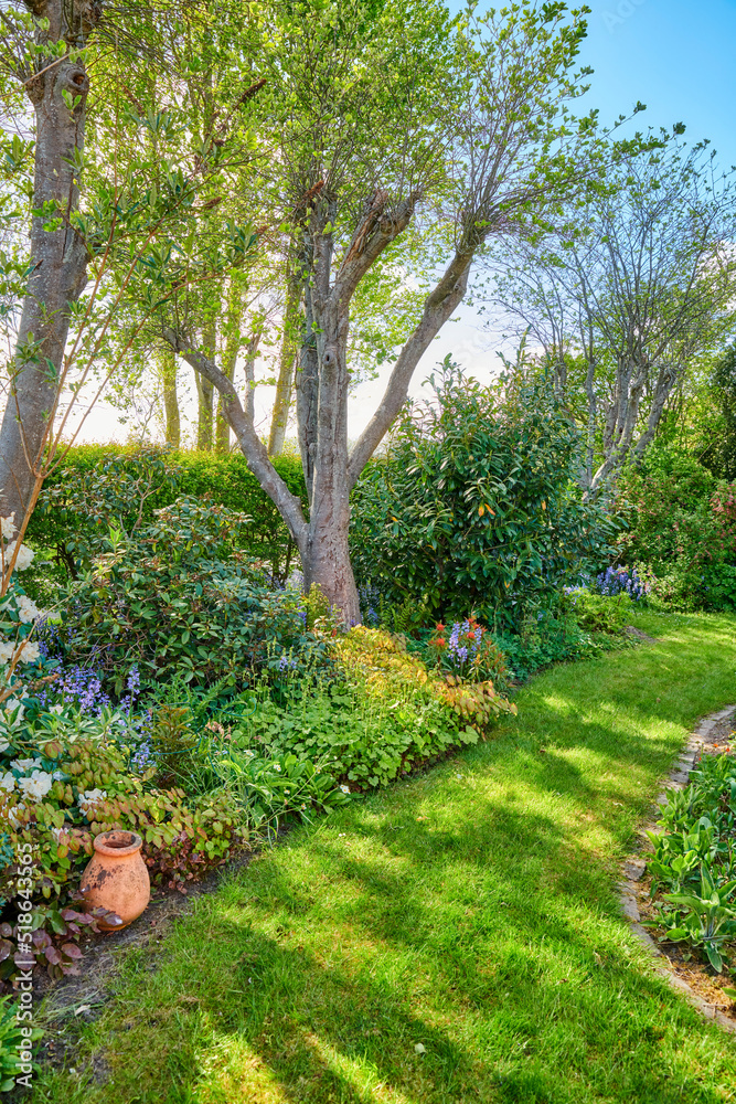 Vibrant garden setting with flowers, plants and a lush lawn with green grass. Beautiful sunny outdoo